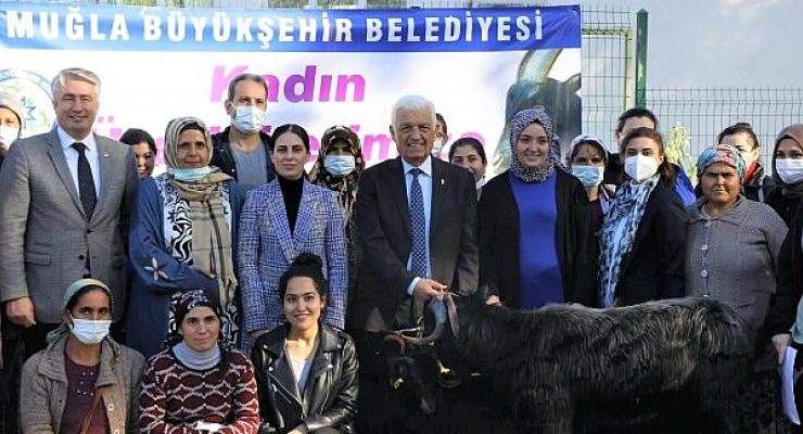 Muğla Büyükşehir Belediyesi Yatağan’da Kıl Keçisi Dağıtıyor