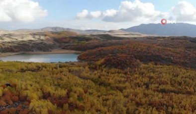 Sonbahar renkleriyle mest eden Nemrut Krater Gölü evlenecek çiftleri doğal stüdyosu oldu