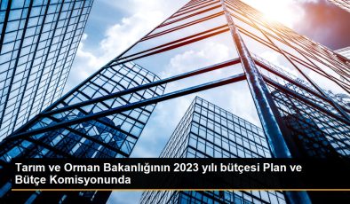 Tarım ve Orman Bakanlığının 2023 yılı bütçesi Plan ve Bütçe Komitesinde