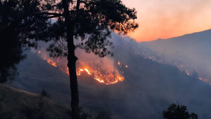 Kahramanmaraş’ta yangın: 100 hektar alan zarar gördü